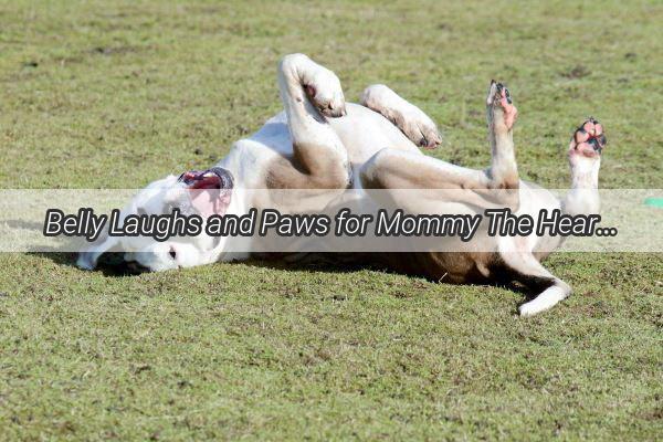 Belly Laughs and Paws for Mommy The Heartwarming Trend of Pregnant Mommies and Their Furry Companions in Photography